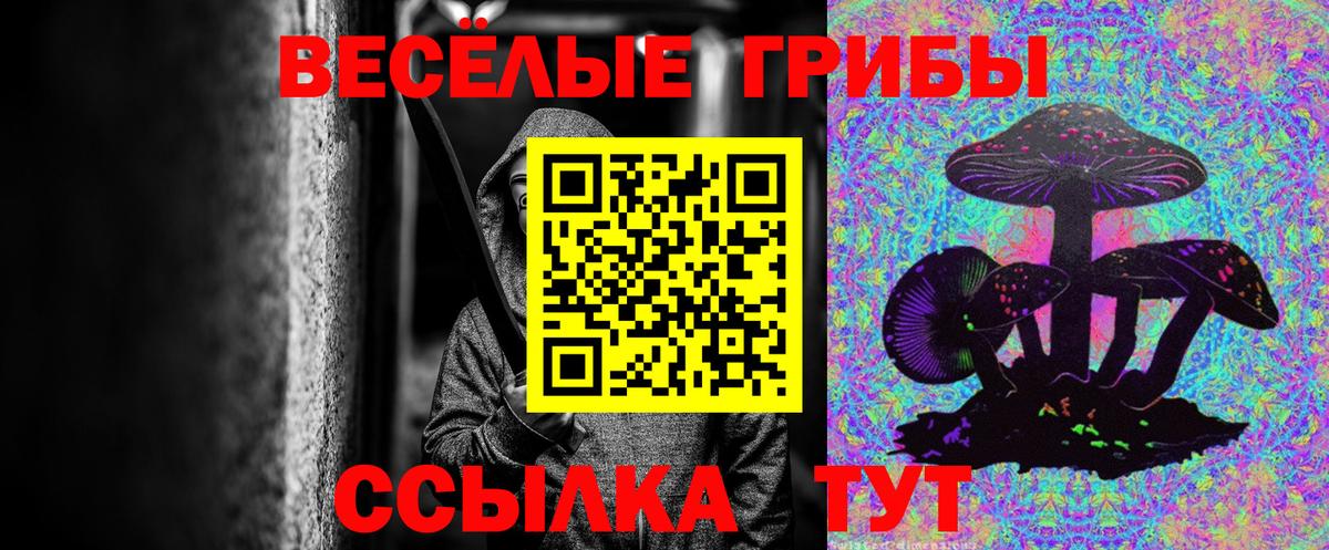 Галлюциногенные грибы MAGIC MUSHROOMS Советская Гавань