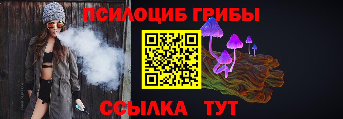 Псилоцибиновые грибы Psilocybe  Вход с VPN  Советская Гавань 